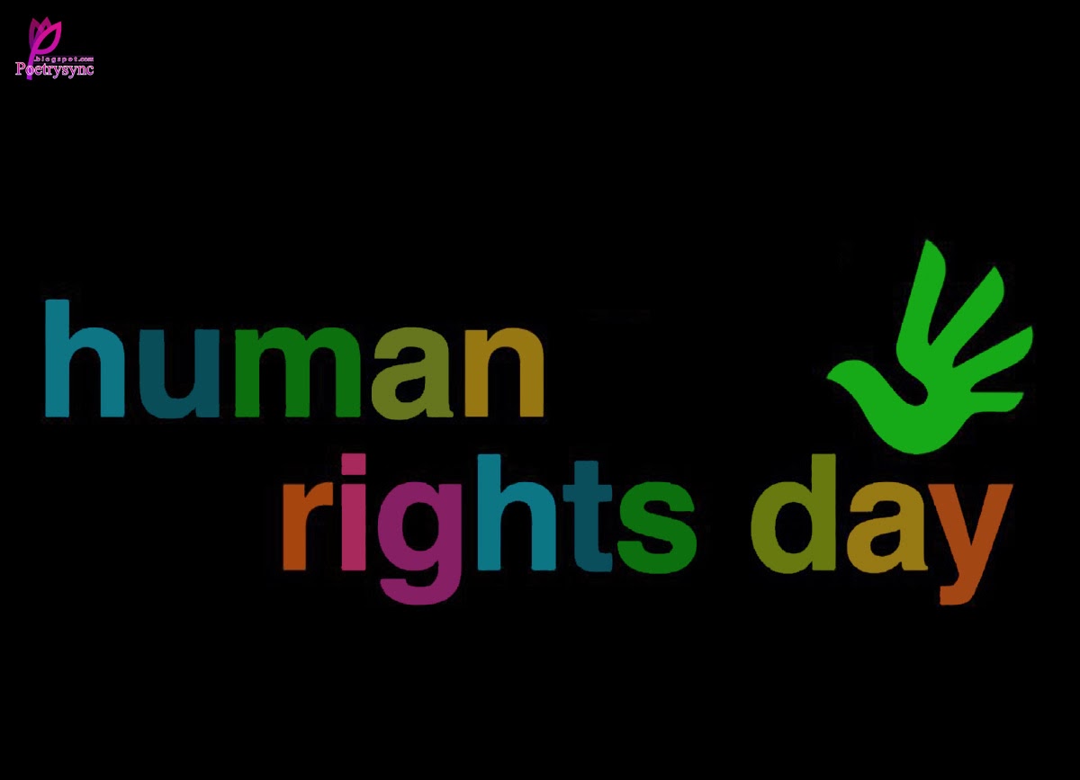 Have an unhappy Human Rights Day in 2014  Looking at arts, culture 